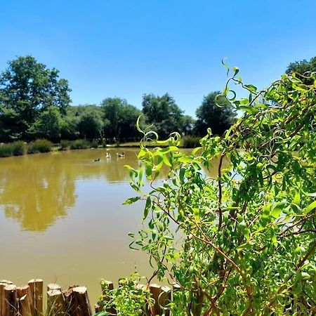 Вилла La Roulotte Du Pecheur Saint-Prive Экстерьер фото